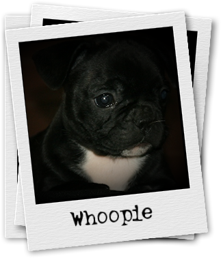 Whoopie